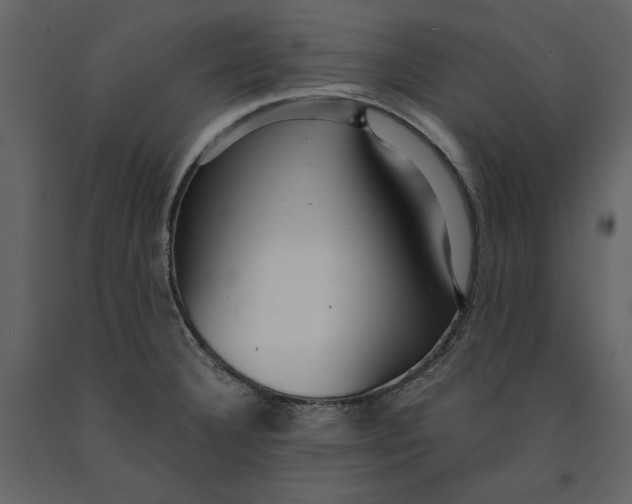 X0000091061332200708271148