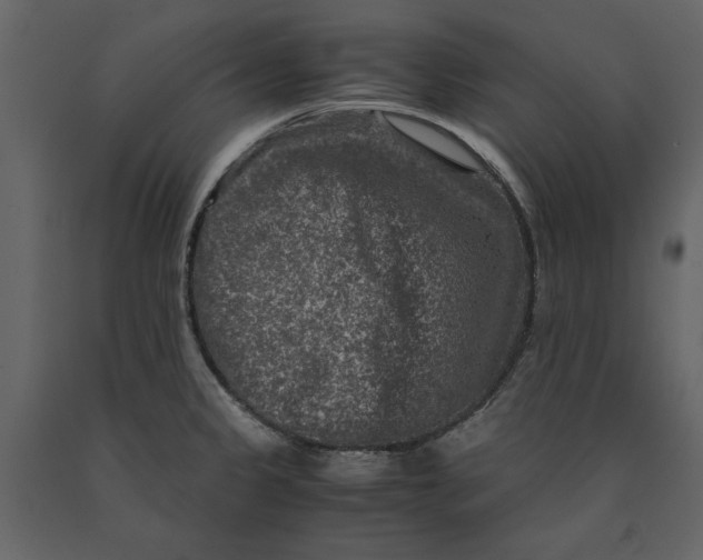 X0000091061333200708271148