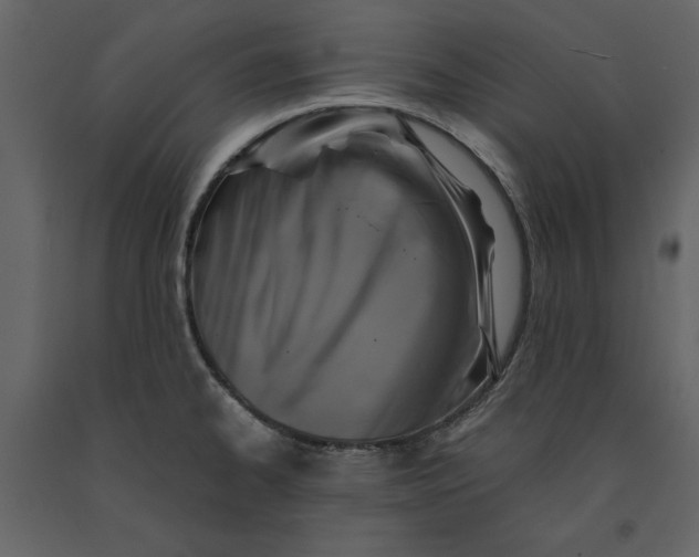X0000091061334200708271148