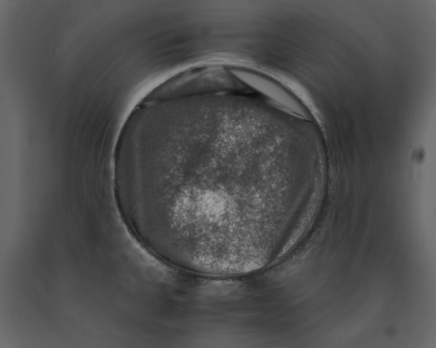 X0000091061335200708271148