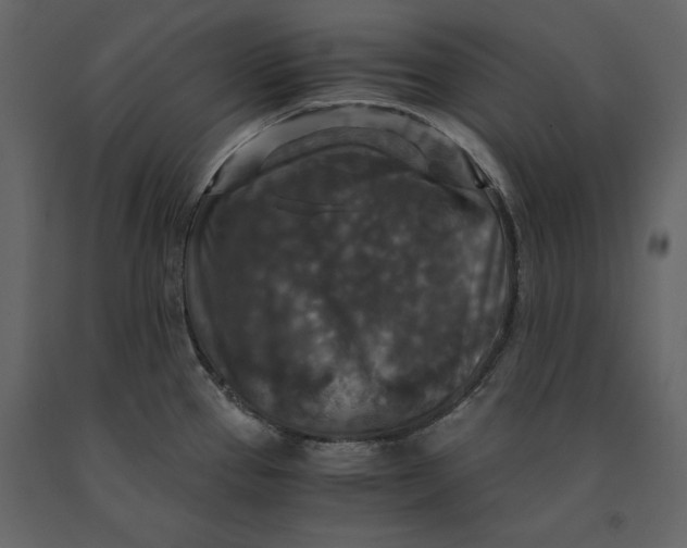 X0000091061337200708271148