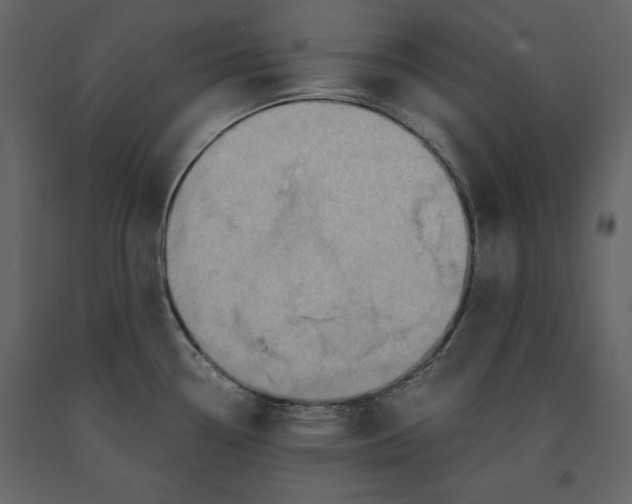 X0000091061338200708271148