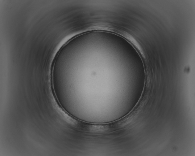X0000091061339200708271148