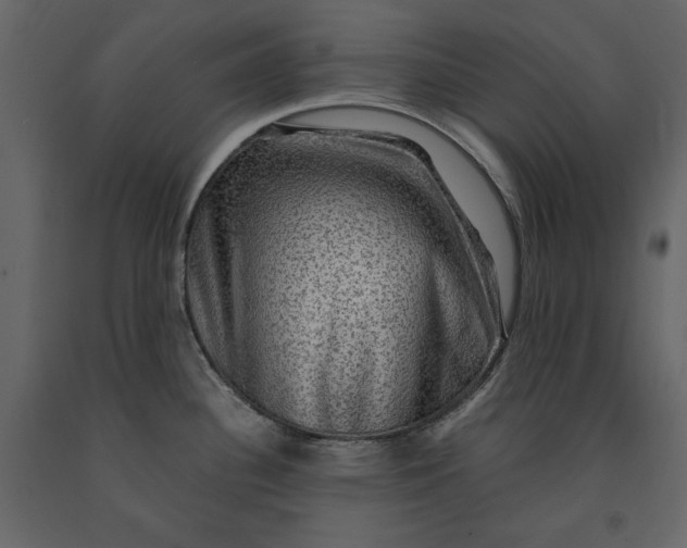 X0000091061340200708271148