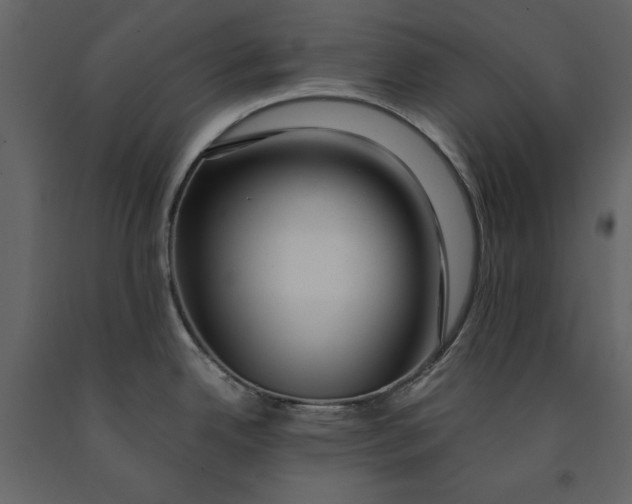 X0000091061342200708271148