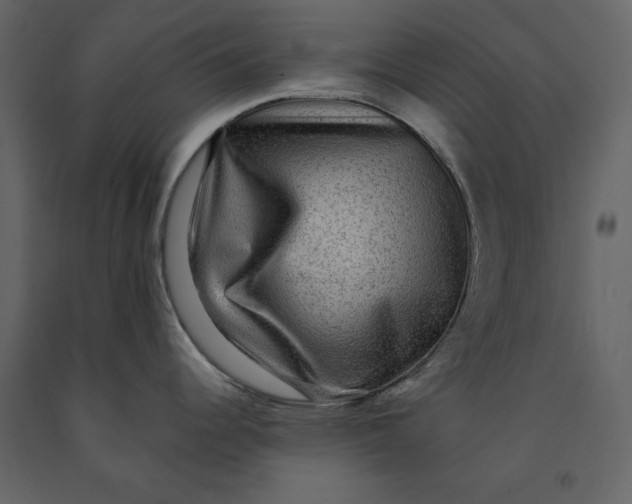 X0000091061344200708271148
