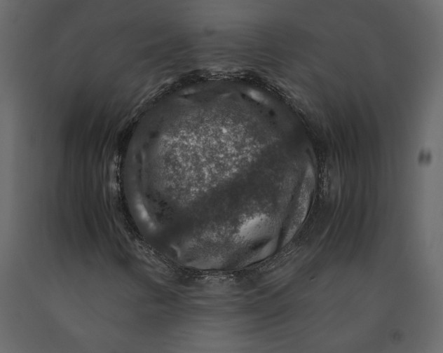 X0000091061346200708271147