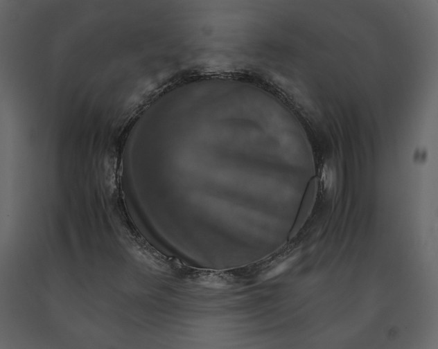 X0000091061348200708271147