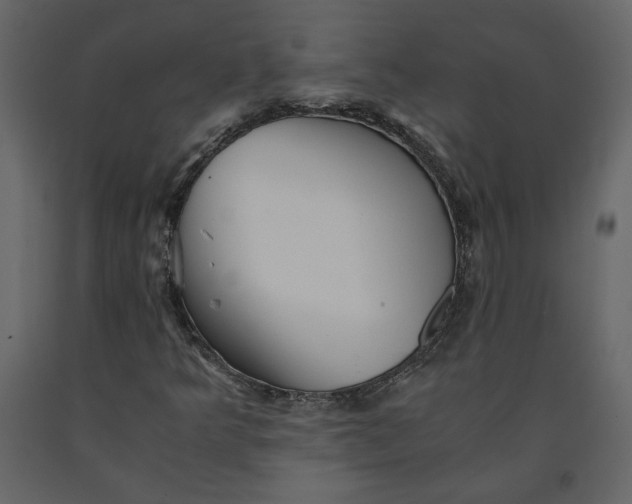 X0000091061349200708271147