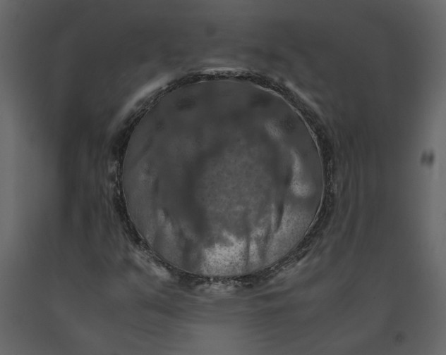X0000091061351200708271147