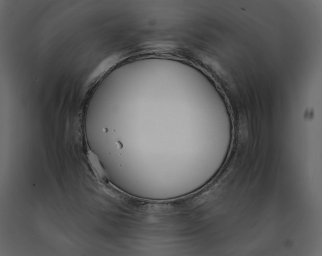 X0000091061354200708271147