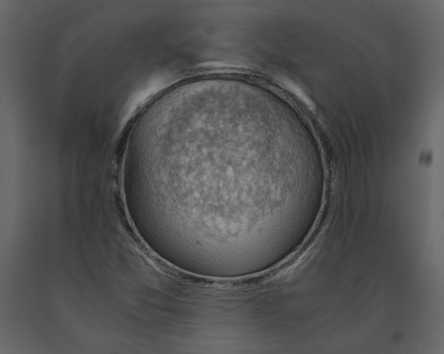 X0000091061357200708271147