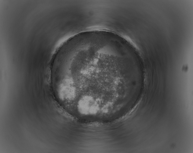 X0000091061358200708271147