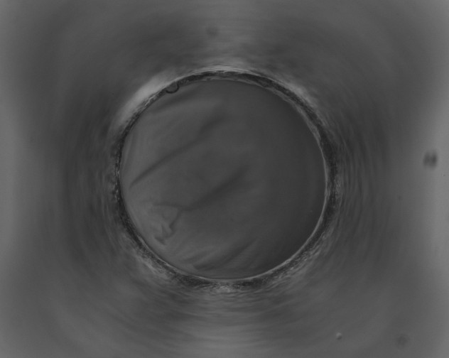 X0000091061359200708271147