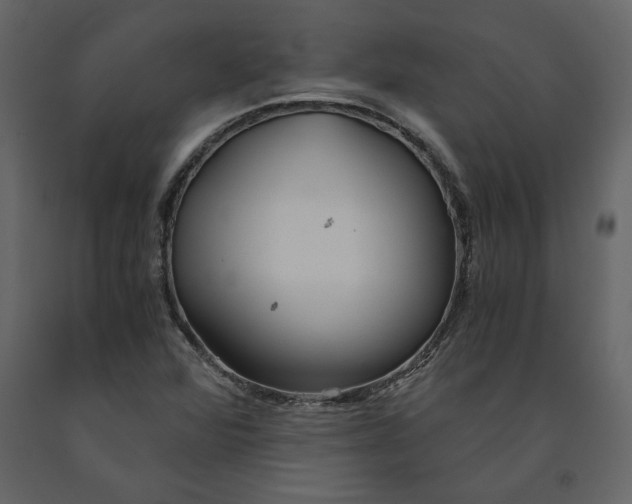 X0000091061360200708271147
