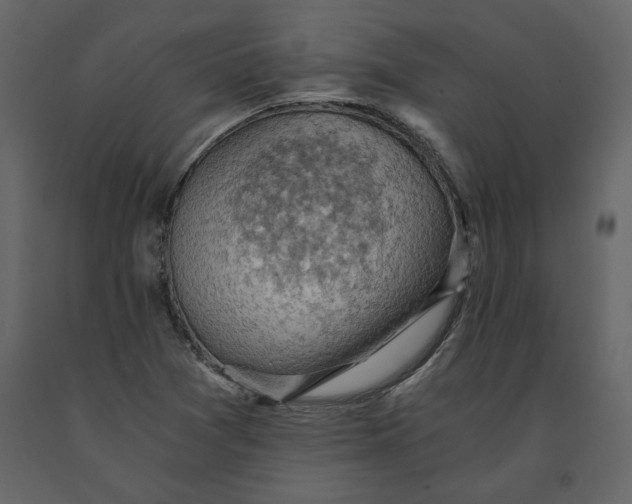 X0000091061361200708271147