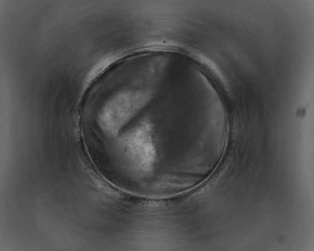X0000091061362200708271147