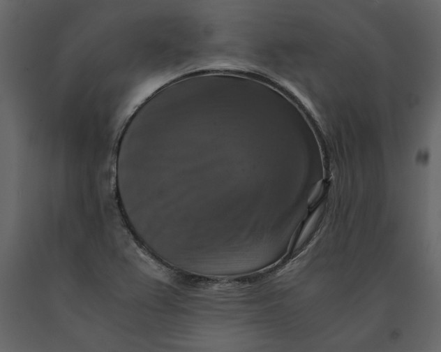 X0000091061367200708271147
