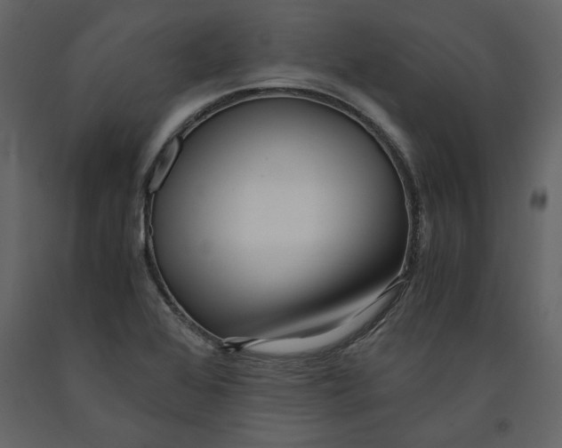 X0000091061368200708271147