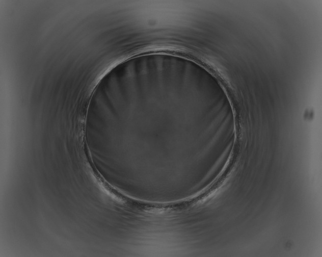 X0000091061369200708271147