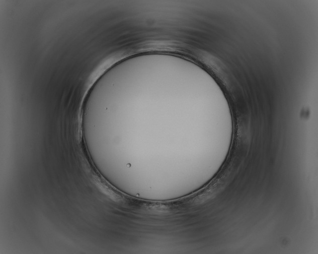 X0000091061370200708271147