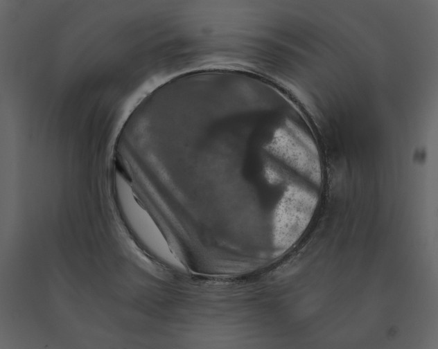 X0000091061371200708271147