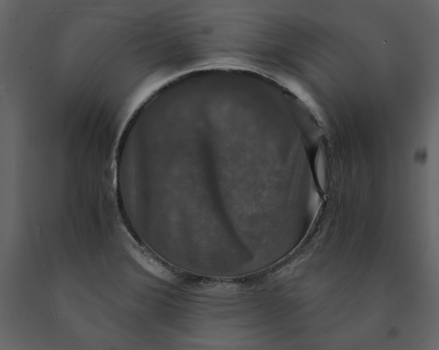 X0000091061372200708271147