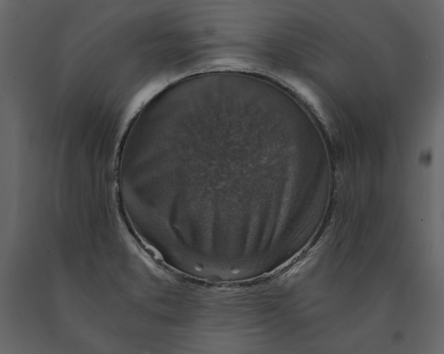 X0000091061373200708271147