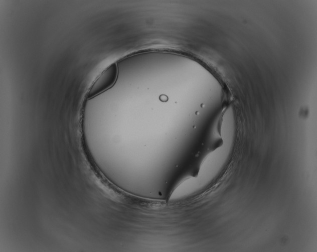 X0000091061375200708271147