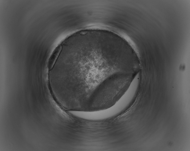 X0000091061376200708271147