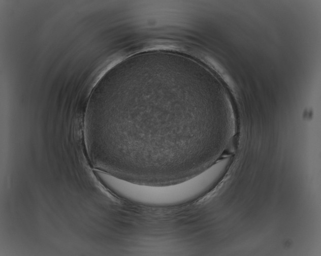 X0000091061377200708271147