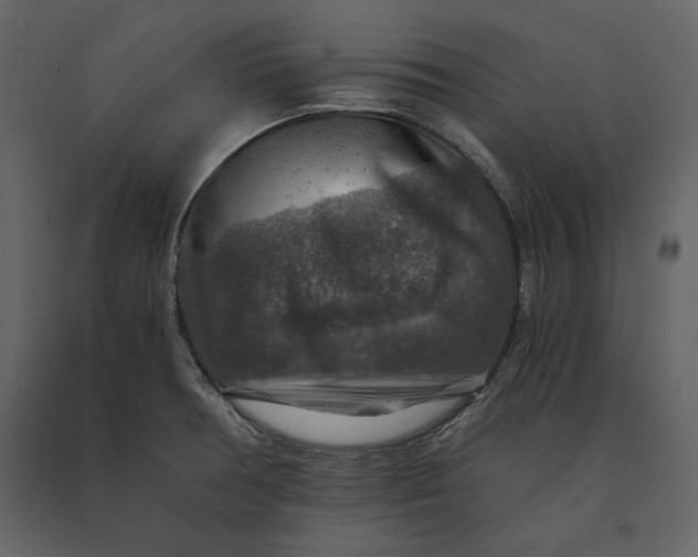 X0000091061378200708271147