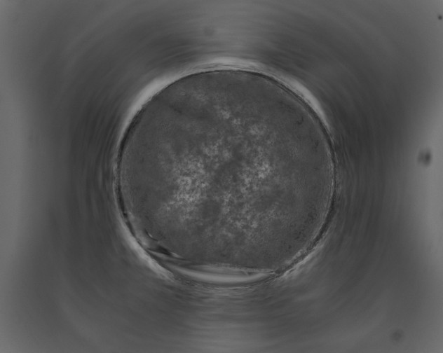 X0000091061381200708271147