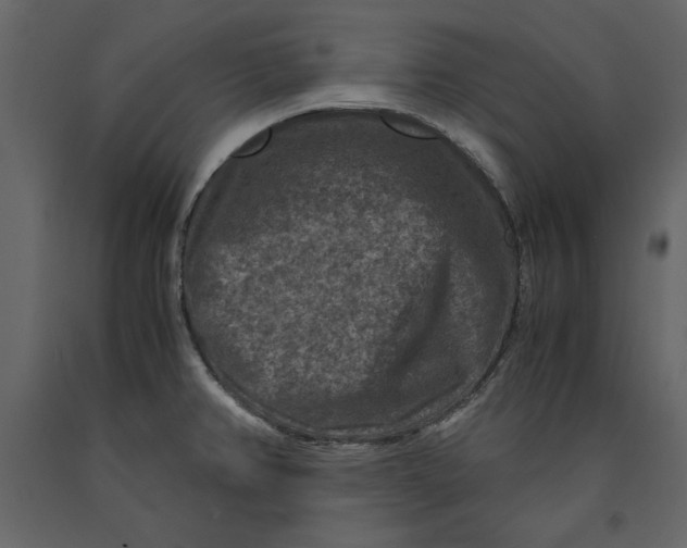 X0000091061382200708271147