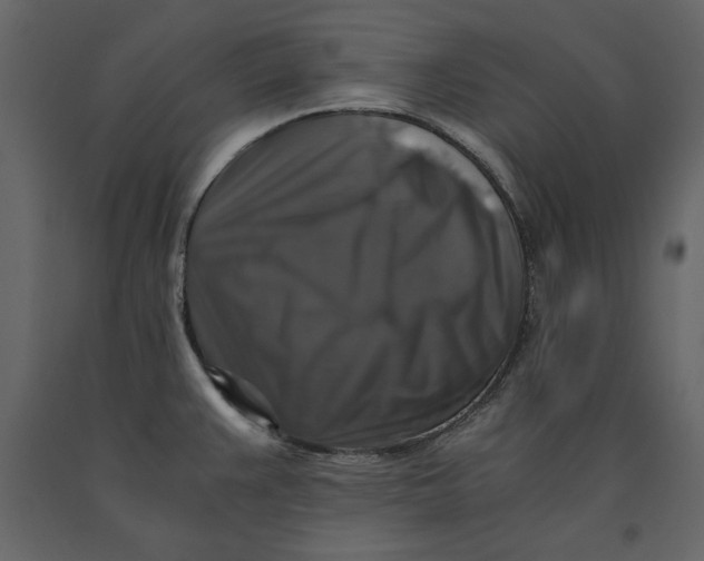 X0000091061383200708271147
