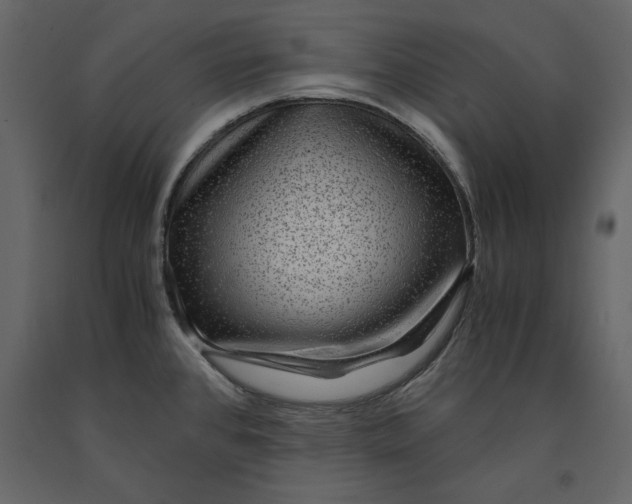 X0000091061384200708271147