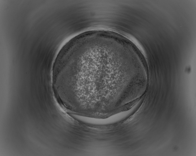 X0000091061388200708271147