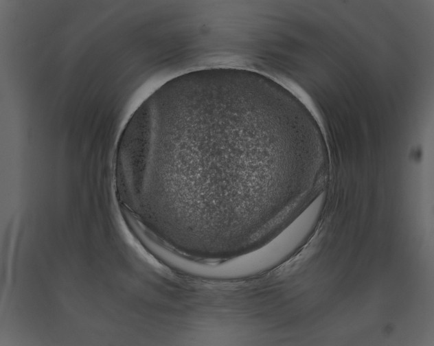 X0000091061389200708271147