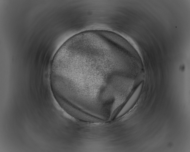 X0000091061390200708271147