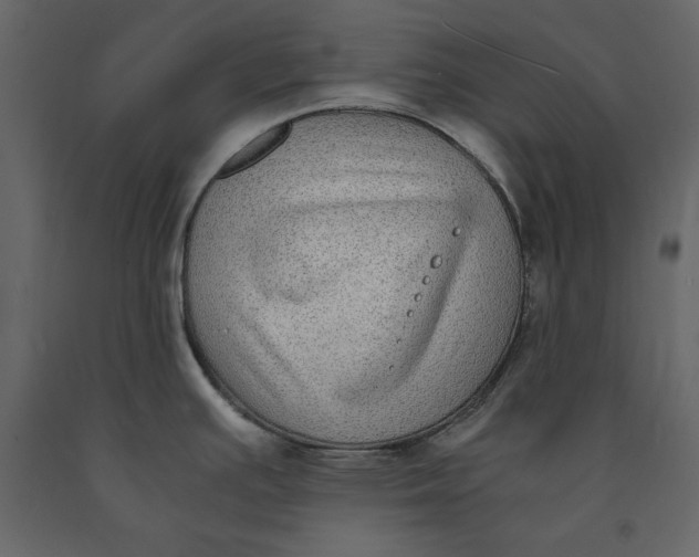 X0000091061391200708271147