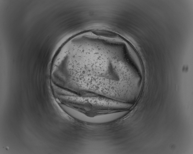X0000091061392200708271147