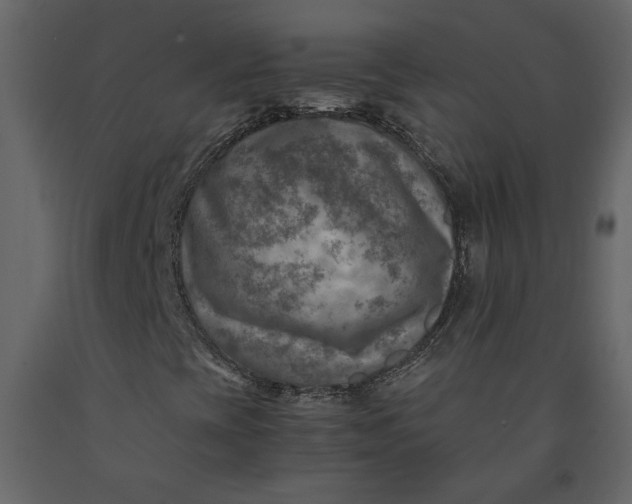 X0000091061393200708271146