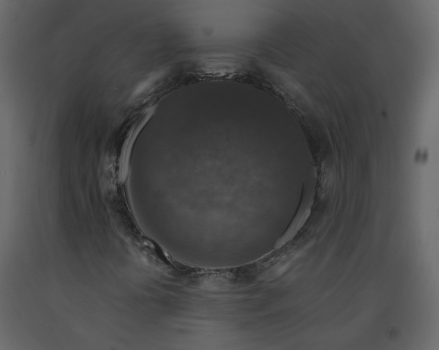 X0000091061394200708271146