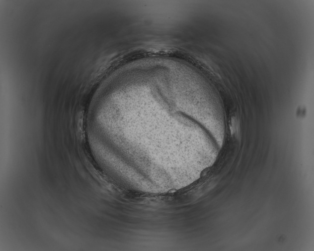 X0000091061396200708271146