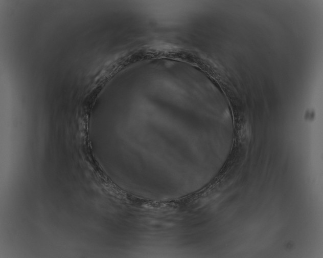 X0000091061397200708271146