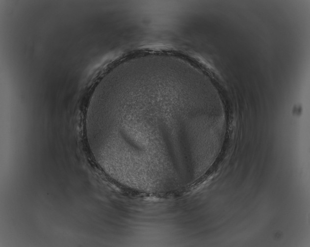 X0000091061398200708271146