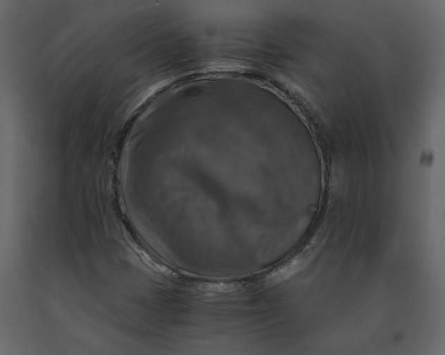 X0000091061401200708271146