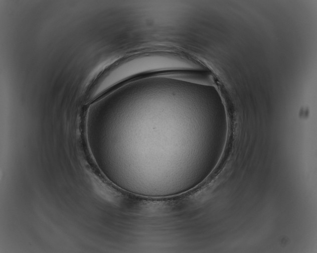 X0000091061402200708271146