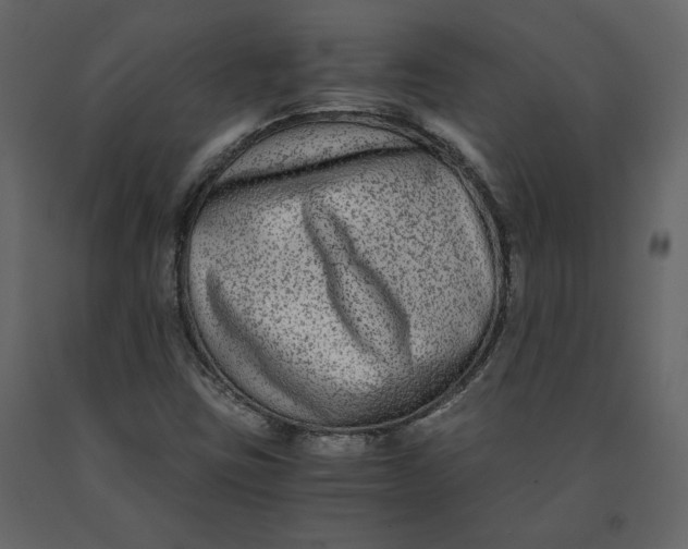 X0000091061403200708271146
