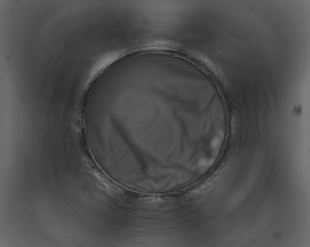 X0000091061405200708271146